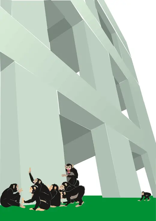 Ekozer Magazine: Ekozer cover illustration: Apes under a concrete structure