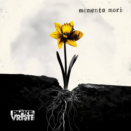 Pičke Vrište: Memento Mori: Album cover: a yellow daffodil rooted in black earth, titled memento mori