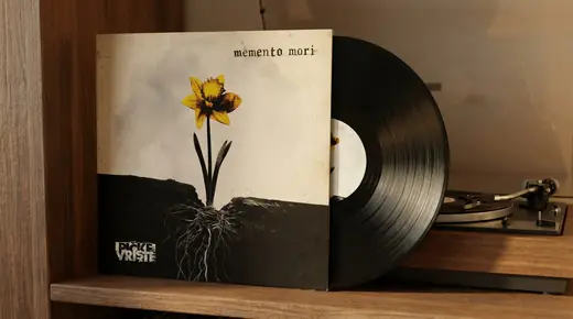 Pičke Vrište: Memento Mori: the album cover as a vinyl record sleeve