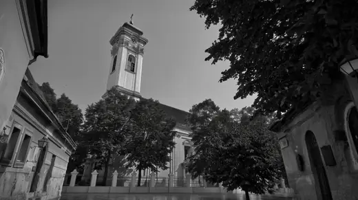The church tower framed by trees, the square wet with rain
