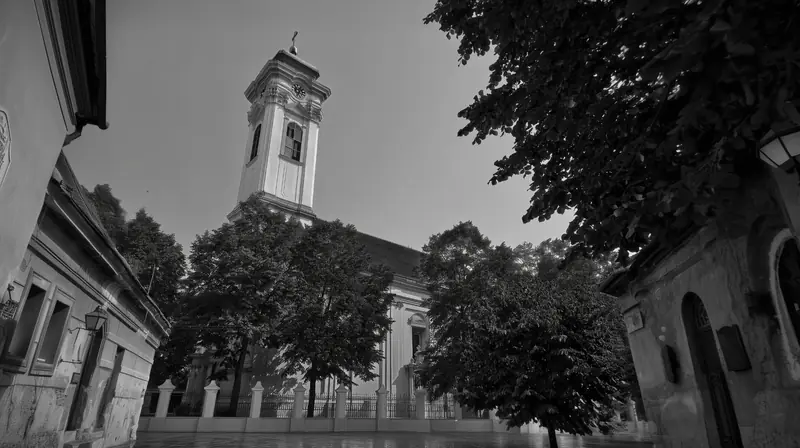 The church tower framed by trees, the square wet with rain