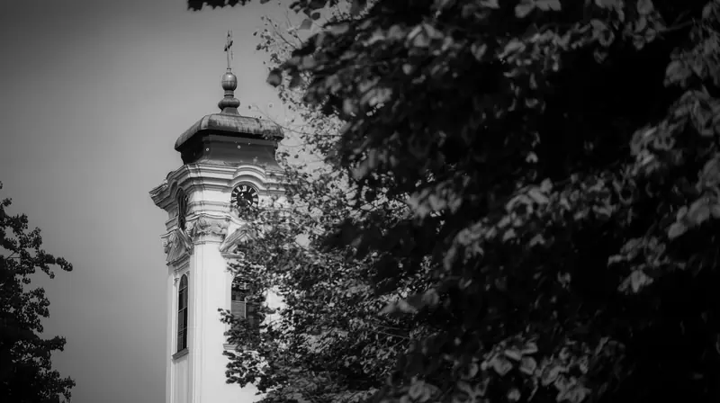 The clock tower behind leaves