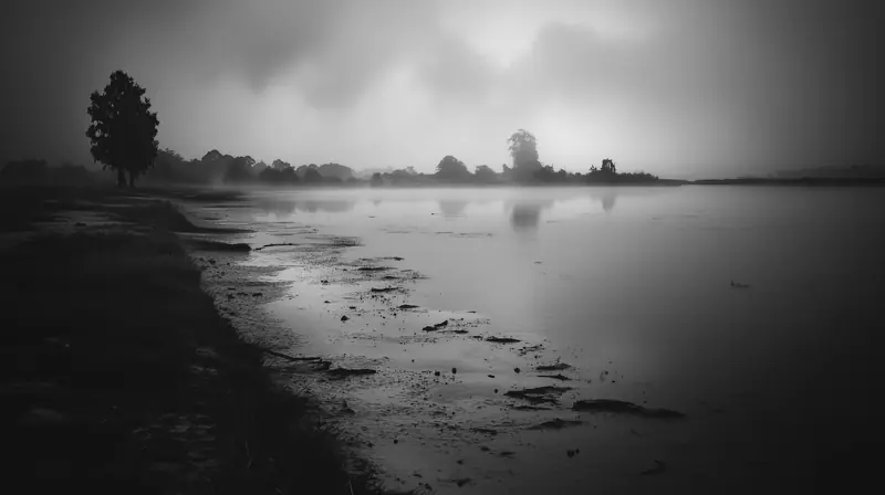 A misty river shore with a lone tree