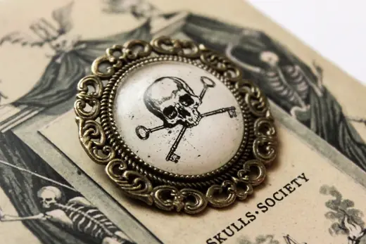 The Skulls Society: Brooch on its illustrated backing card, close-up product photo