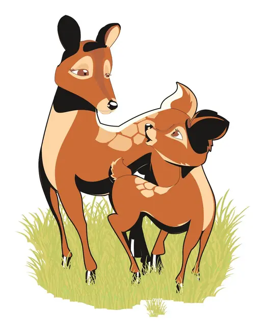 Trešnja u cvetu: Young deer