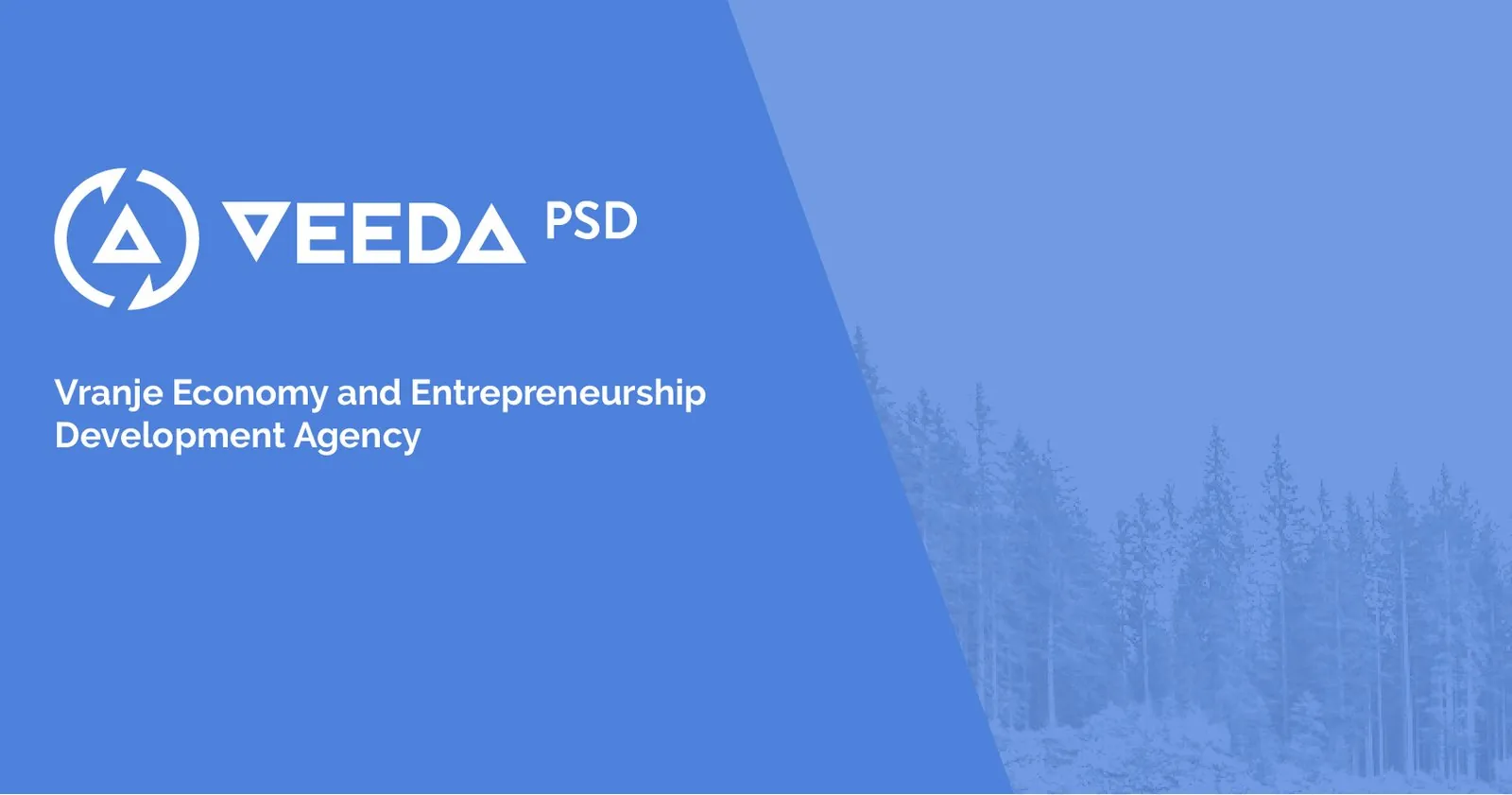 VEEDA PSD, Website & Visual Identity