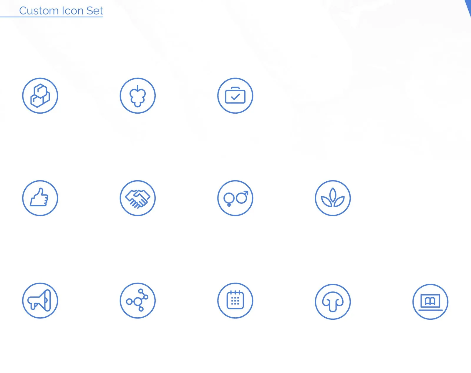 VEEDA PSD, Website & Visual Identity