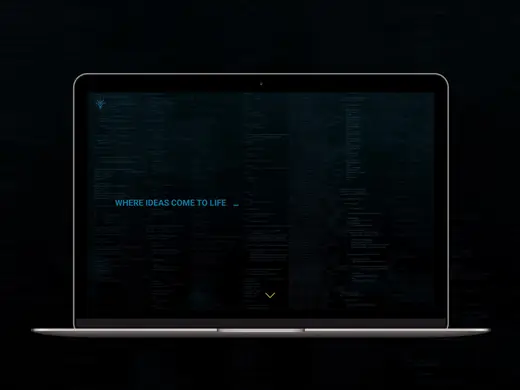 Vivify Ideas, Website