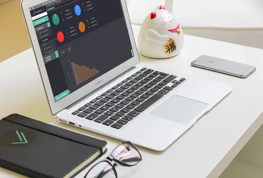 VivifyScrum: VivifyScrum statistics screen on a laptop